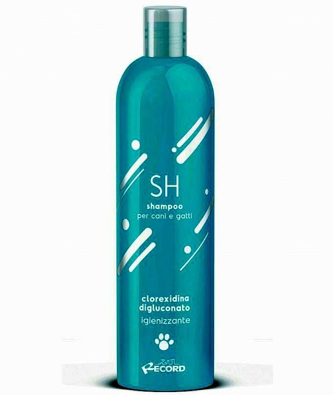 Il Miglior Shampoo Per Cani Con Lievito. Recensione E Guida Definitiva