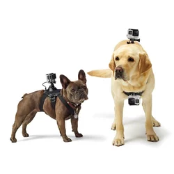 Lultima Parola Sulle Migliori Imbracature Per Cani GoPro Con Supporti Per Fotocamera